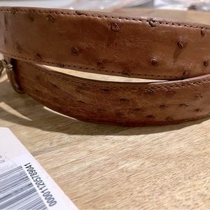 Tecovas ostrich belt